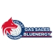 Gas Sales Bluenergy Piacenza